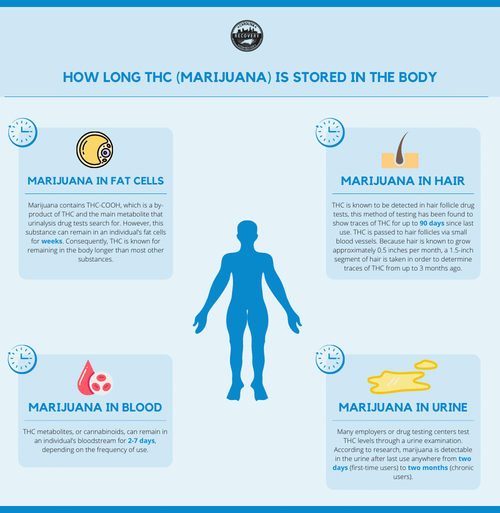 How Long thc (marijuana) is stored in the body