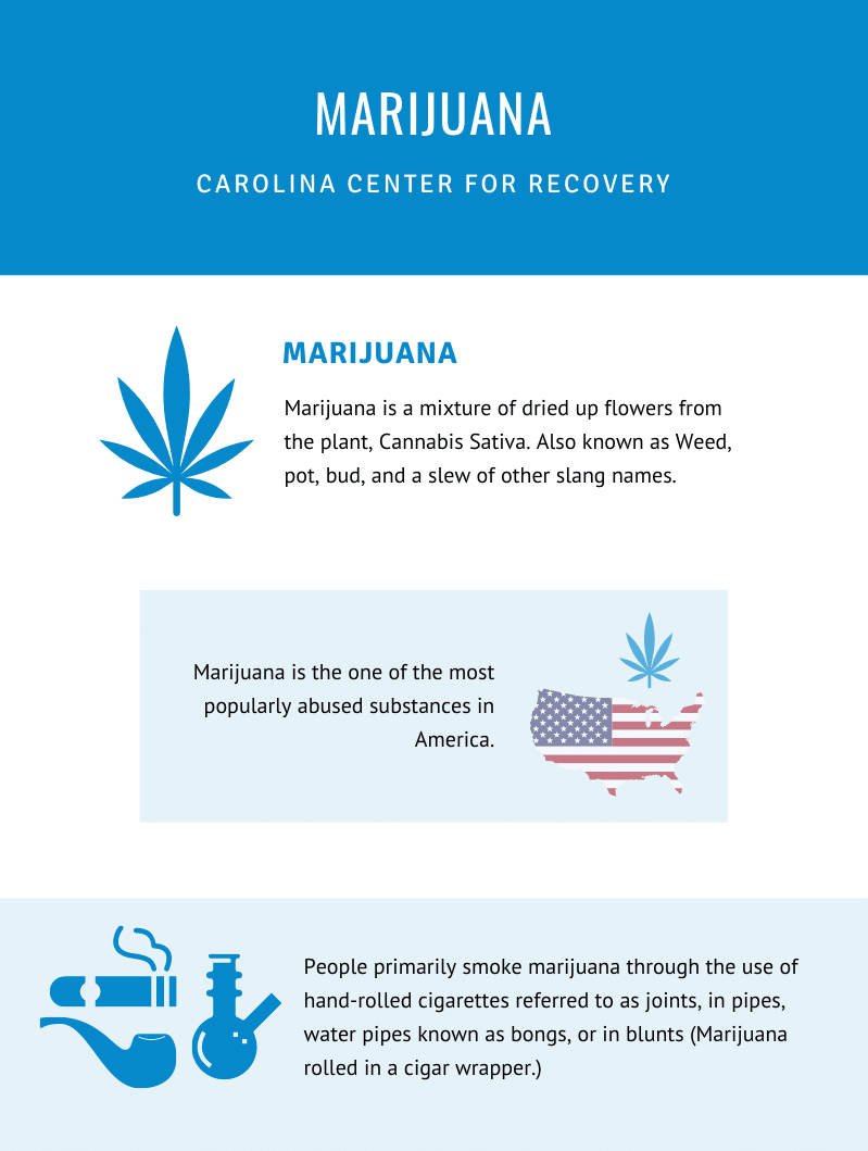 Marijuana Infographic 