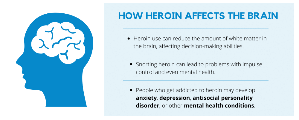 How Heroin affects the Brain