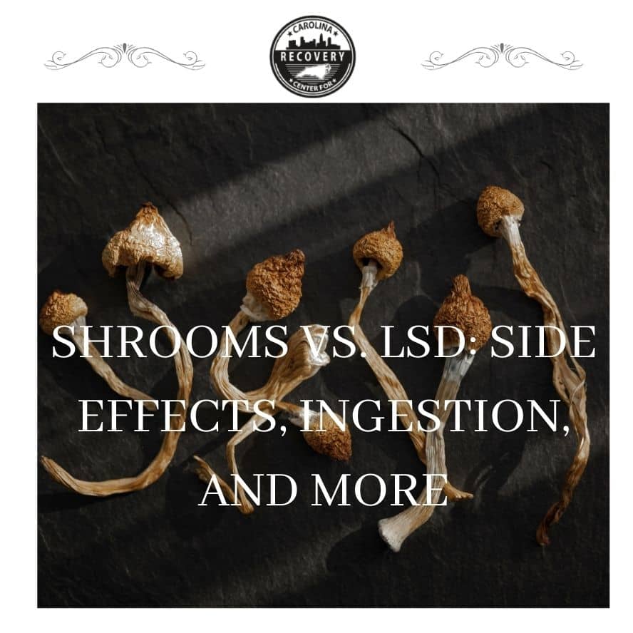 Long-Term Effects of Shrooms